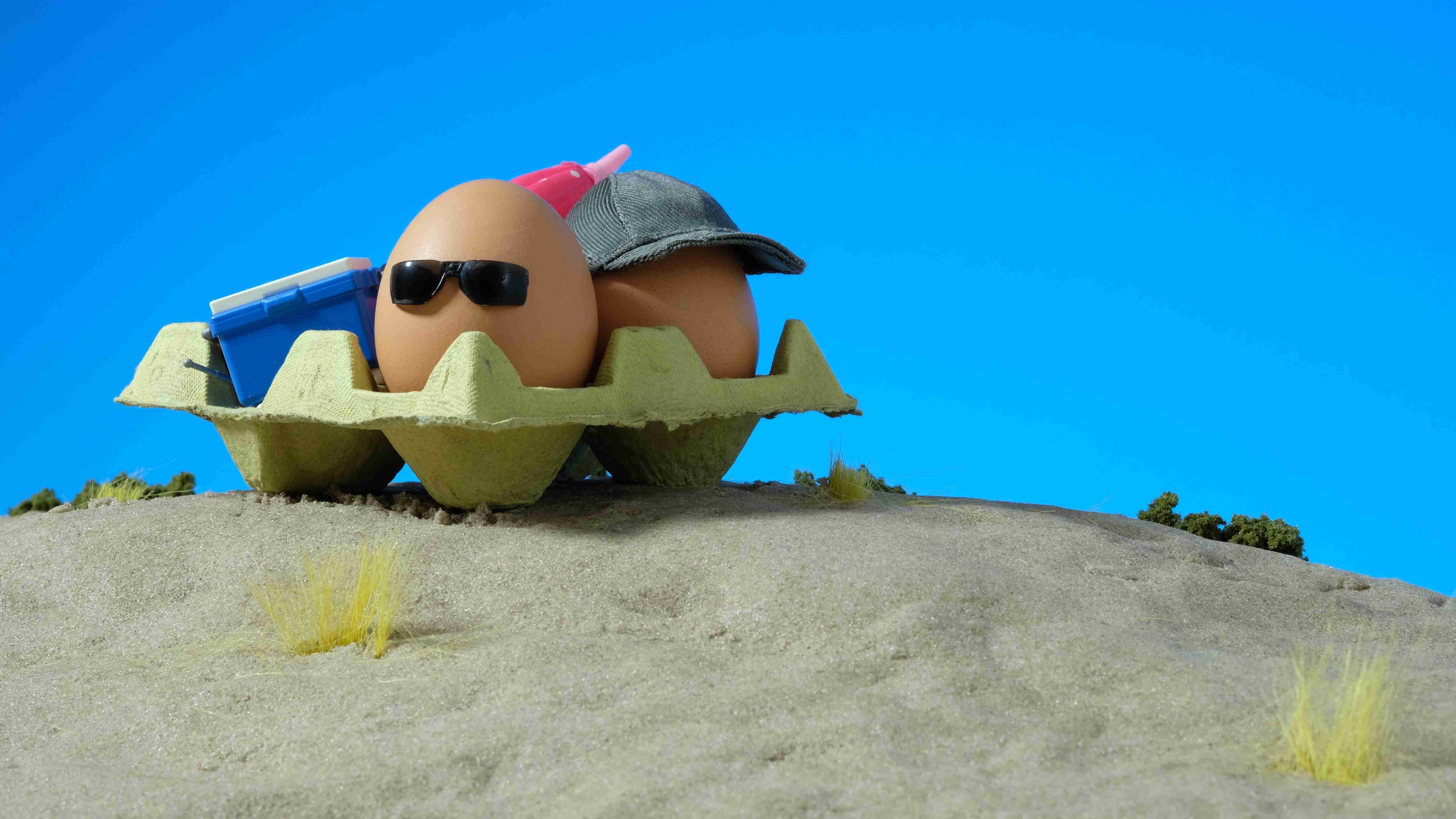 Al sol