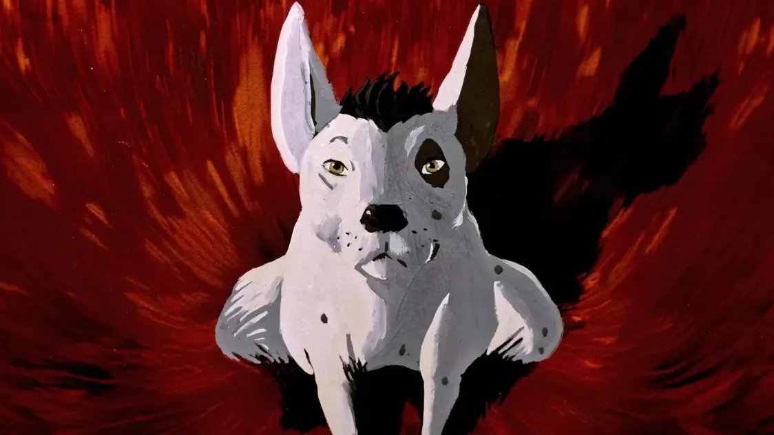 Xolo